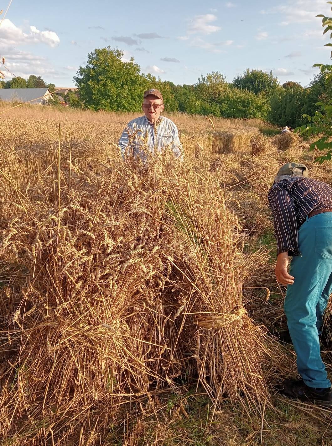 Zażynki w Rozięcinie 2025